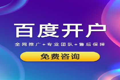 成功sem公司的策略与执行